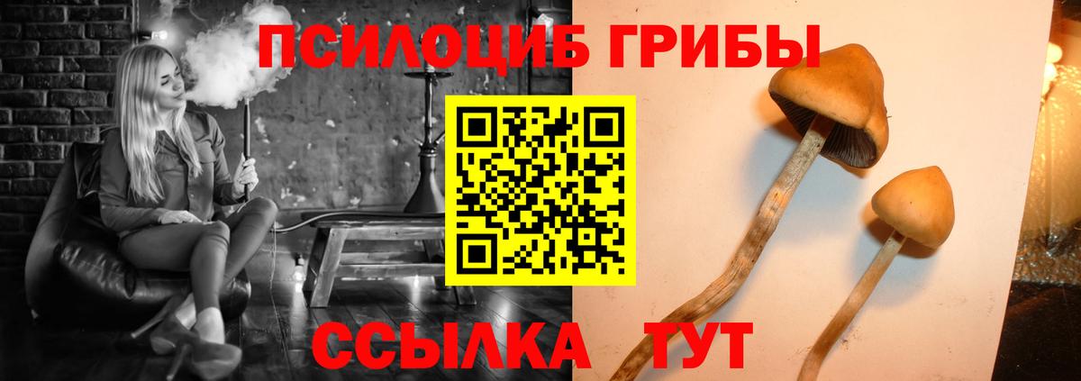 Галлюциногенные грибы прущие грибы  купить наркотики сайты  Ростов-на-Дону  Вход с VPN 